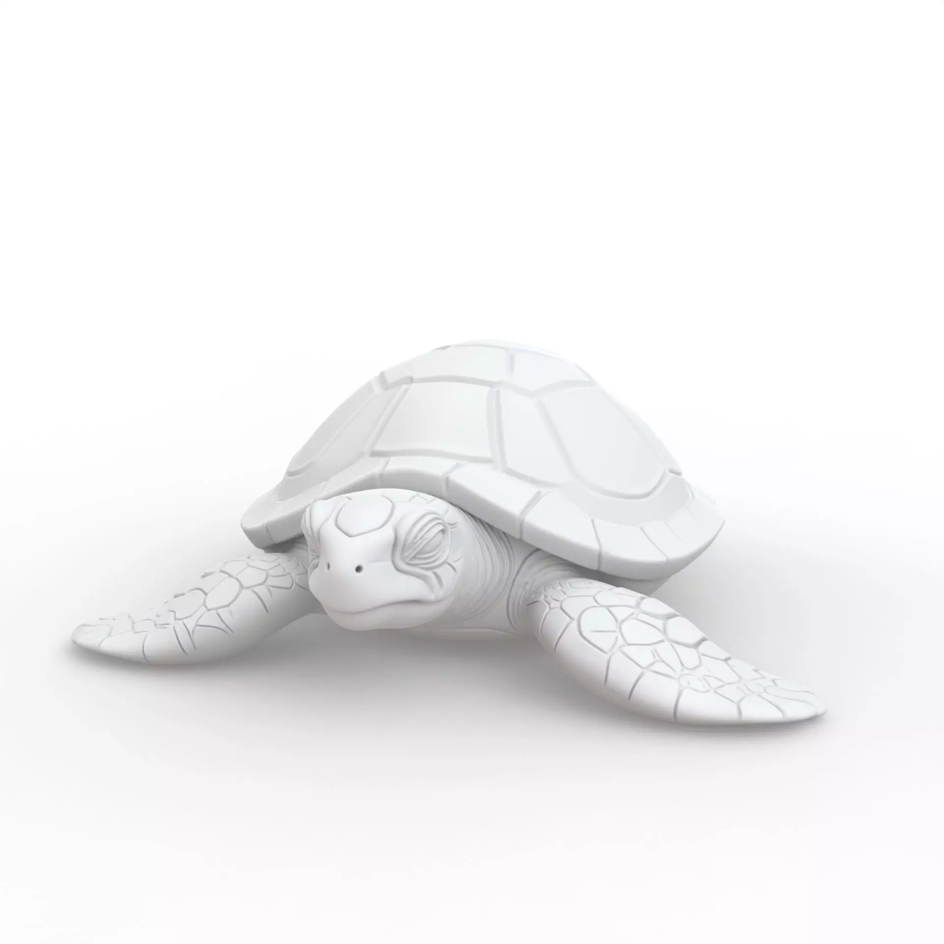Turtle 3D Print Model 3D print model_1