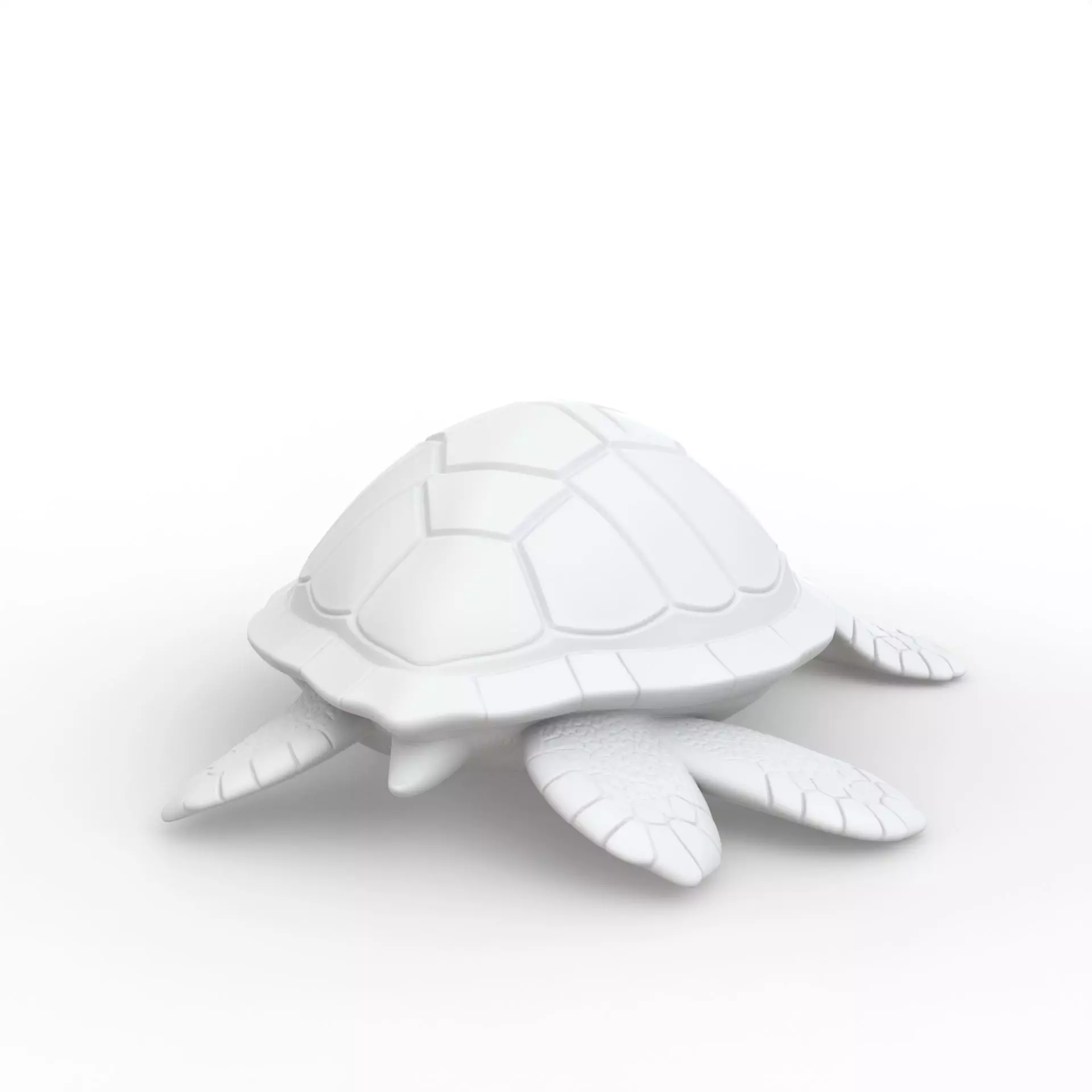Turtle 3D Print Model 3D print model_4