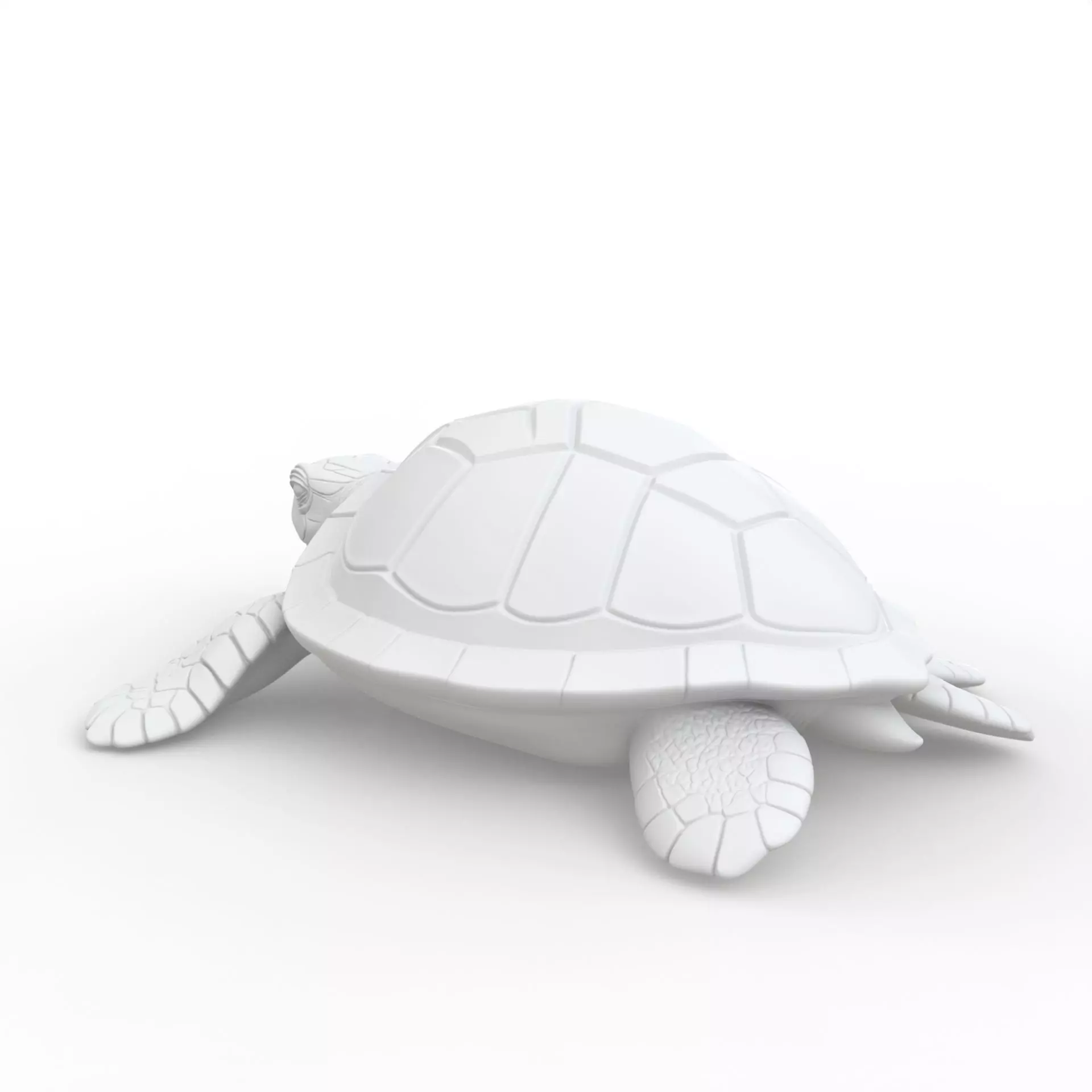 Turtle 3D Print Model 3D print model_3