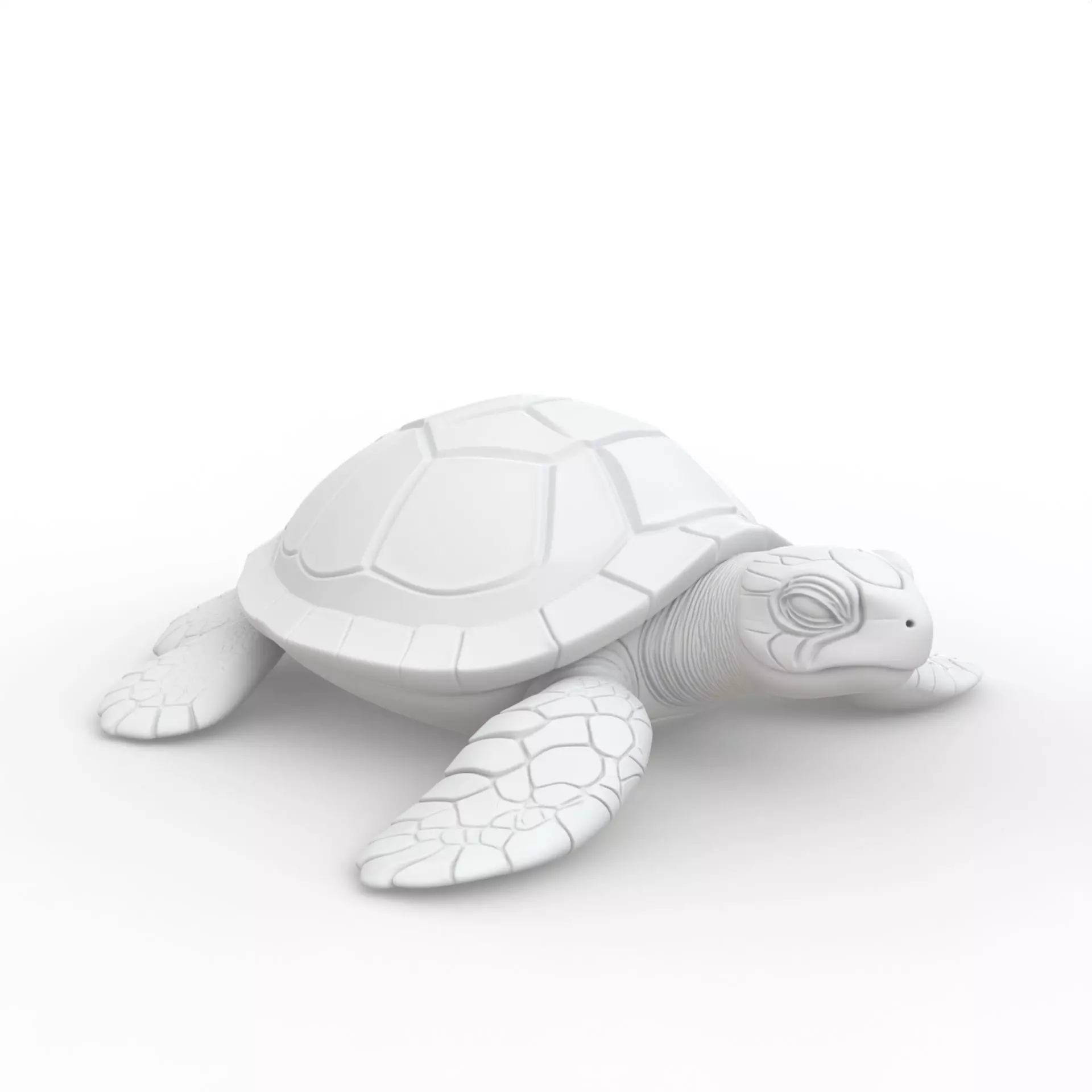 Turtle 3D Print Model 3D print model_6