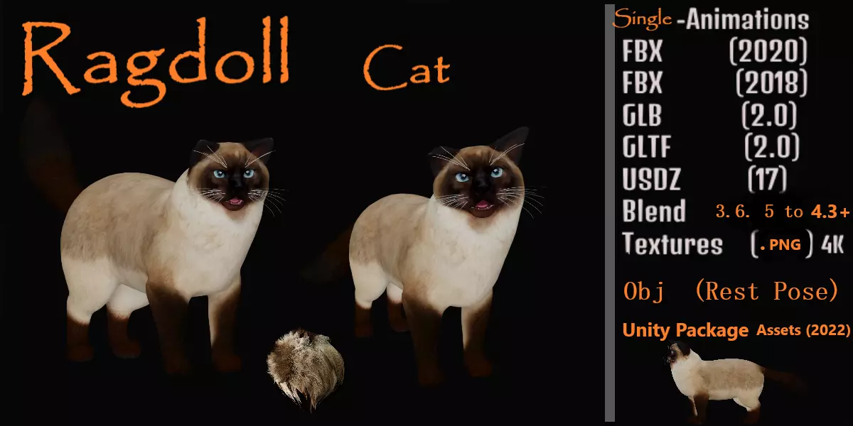 Ragdoll Cat Free 3D model_1
