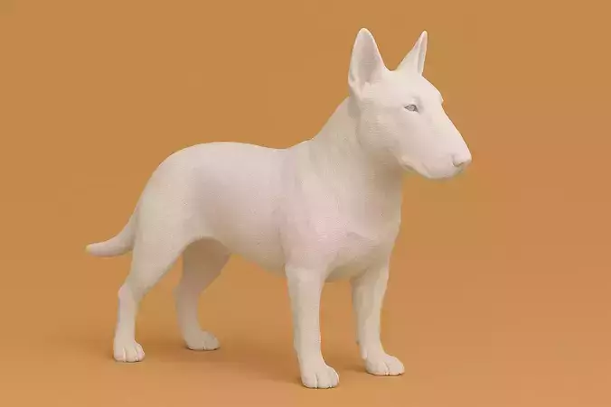 Bull Terrier