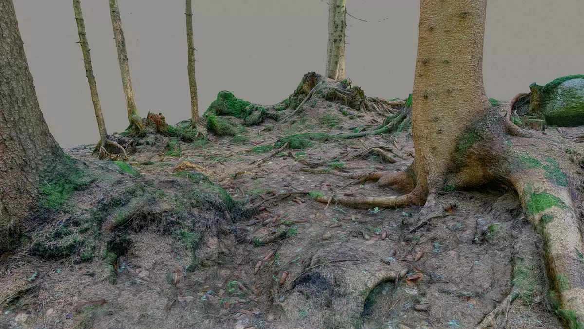Glade of dead trees with roots Free 3D model_1