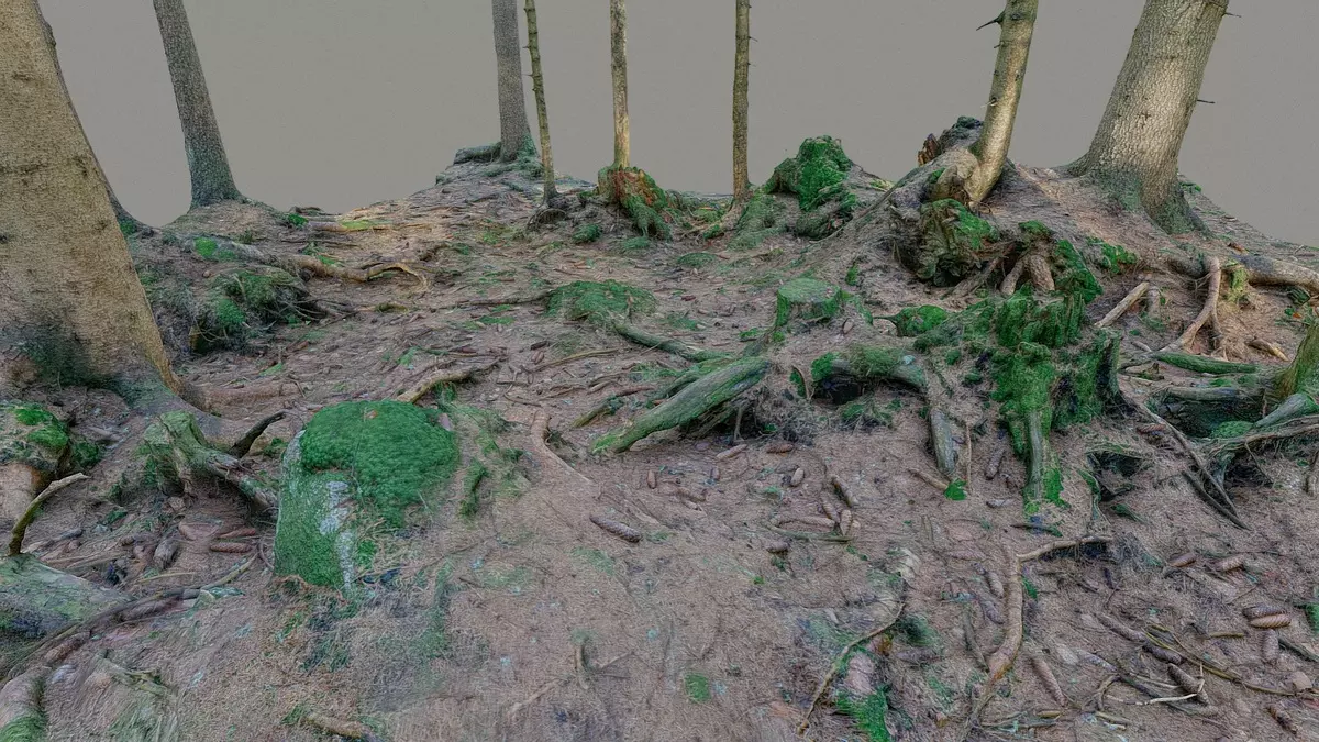 Glade of dead trees with roots Free 3D model_2