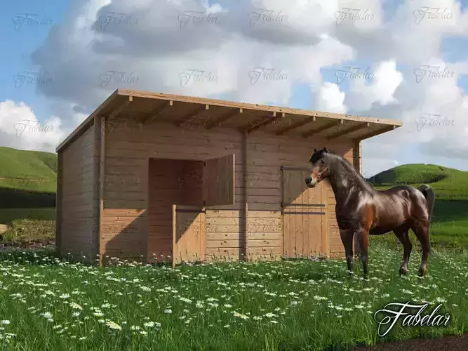 Stables grass and horse