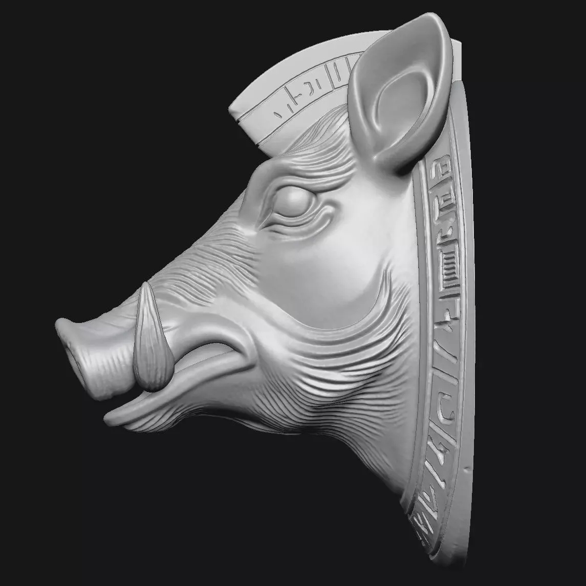 wild boar 3D print model_2
