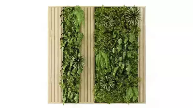 Green Plant Wall