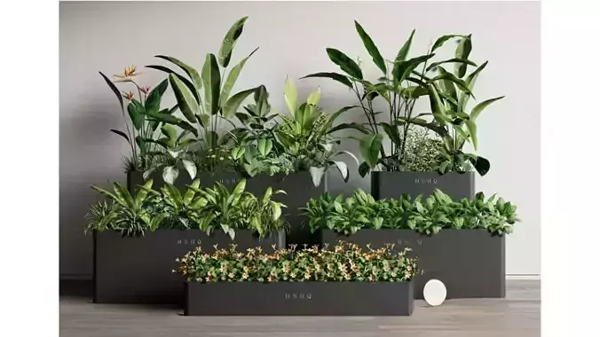 Indoor plant combination