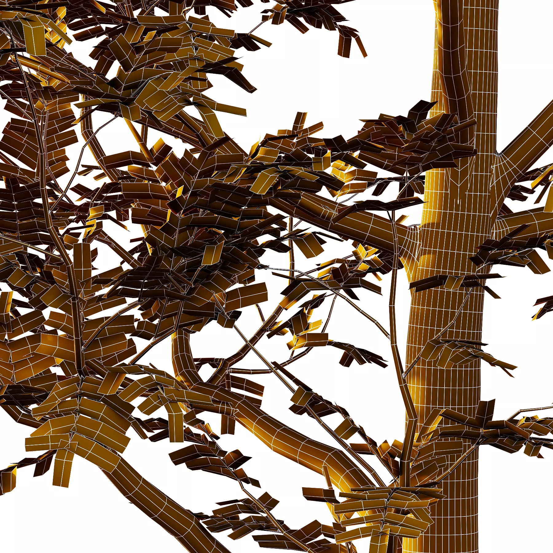 Rowan tree 01 3D model_4