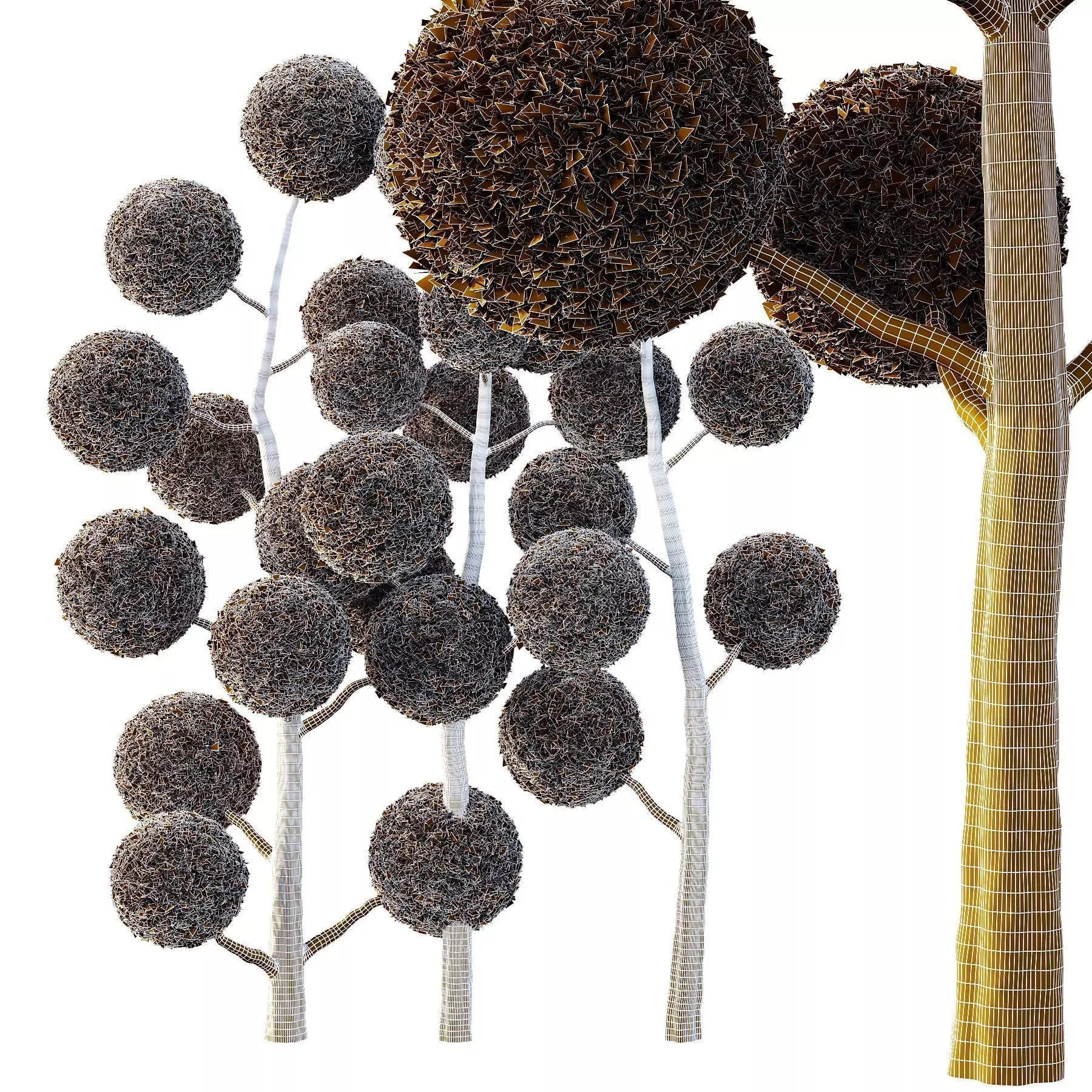 Excellent collection of Outdoor plants 16 Different Models 0027 _20