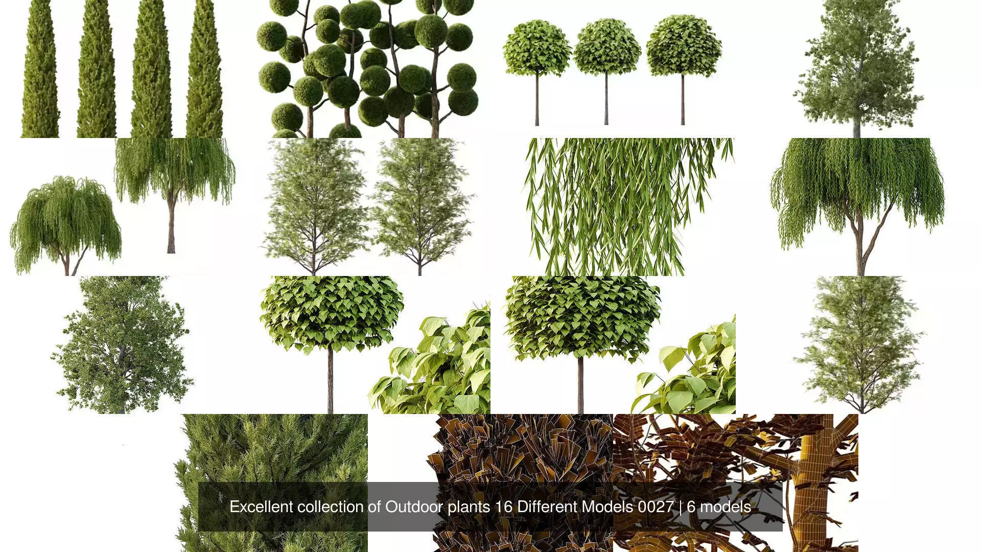 Excellent collection of Outdoor plants 16 Different Models 0027 _1