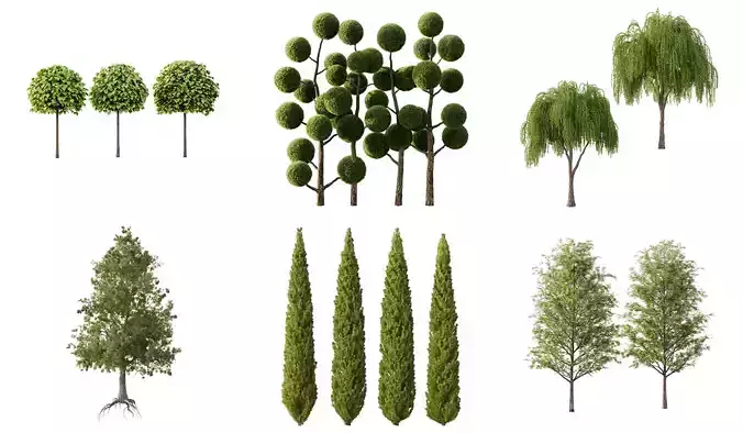 Excellent collection of Outdoor plants 16 Different Models 0027