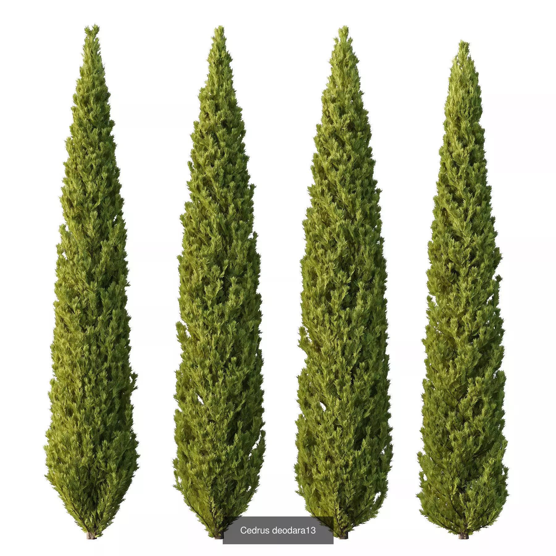 Excellent collection of Outdoor plants 16 Different Models 0027 _2