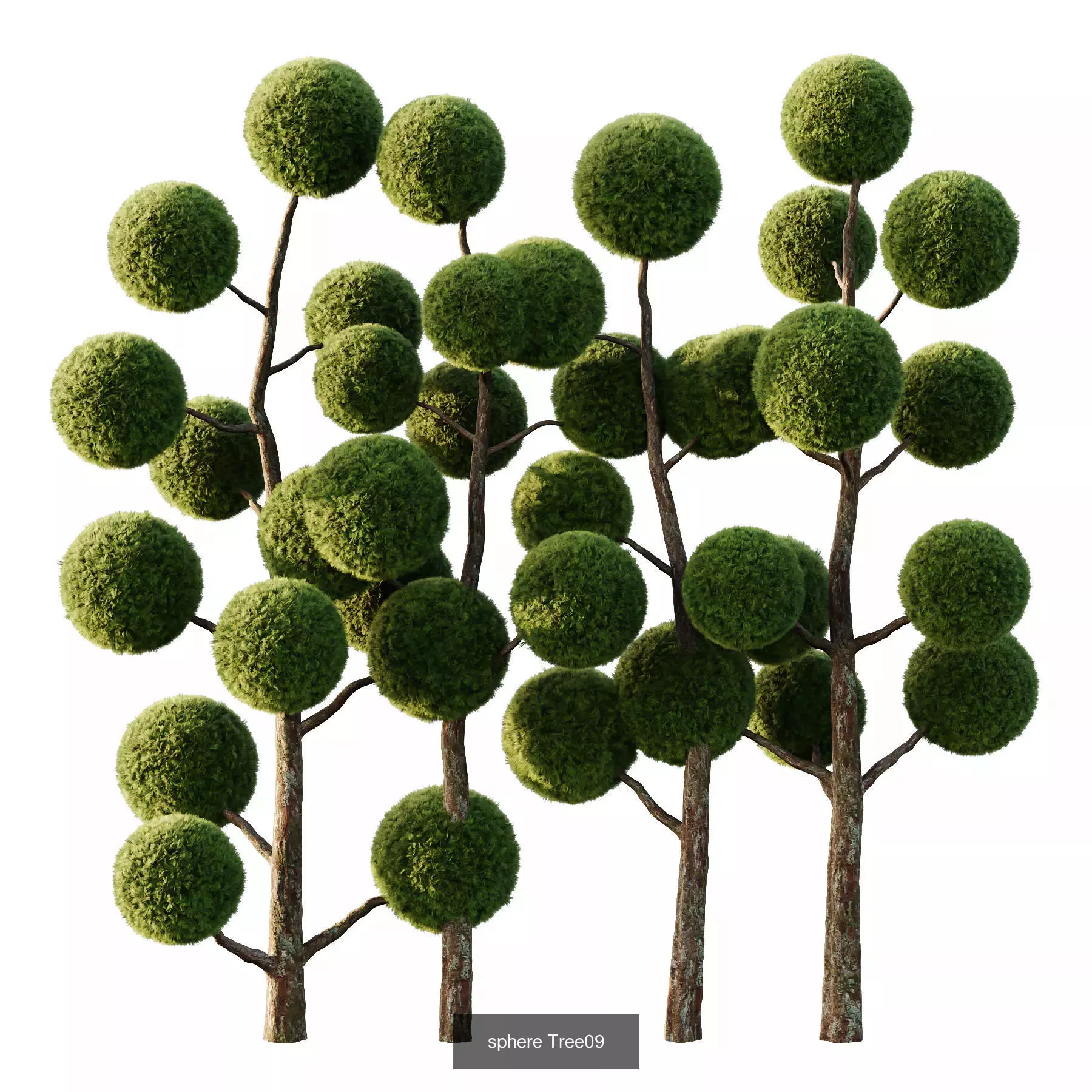 Excellent collection of Outdoor plants 16 Different Models 0027 _3