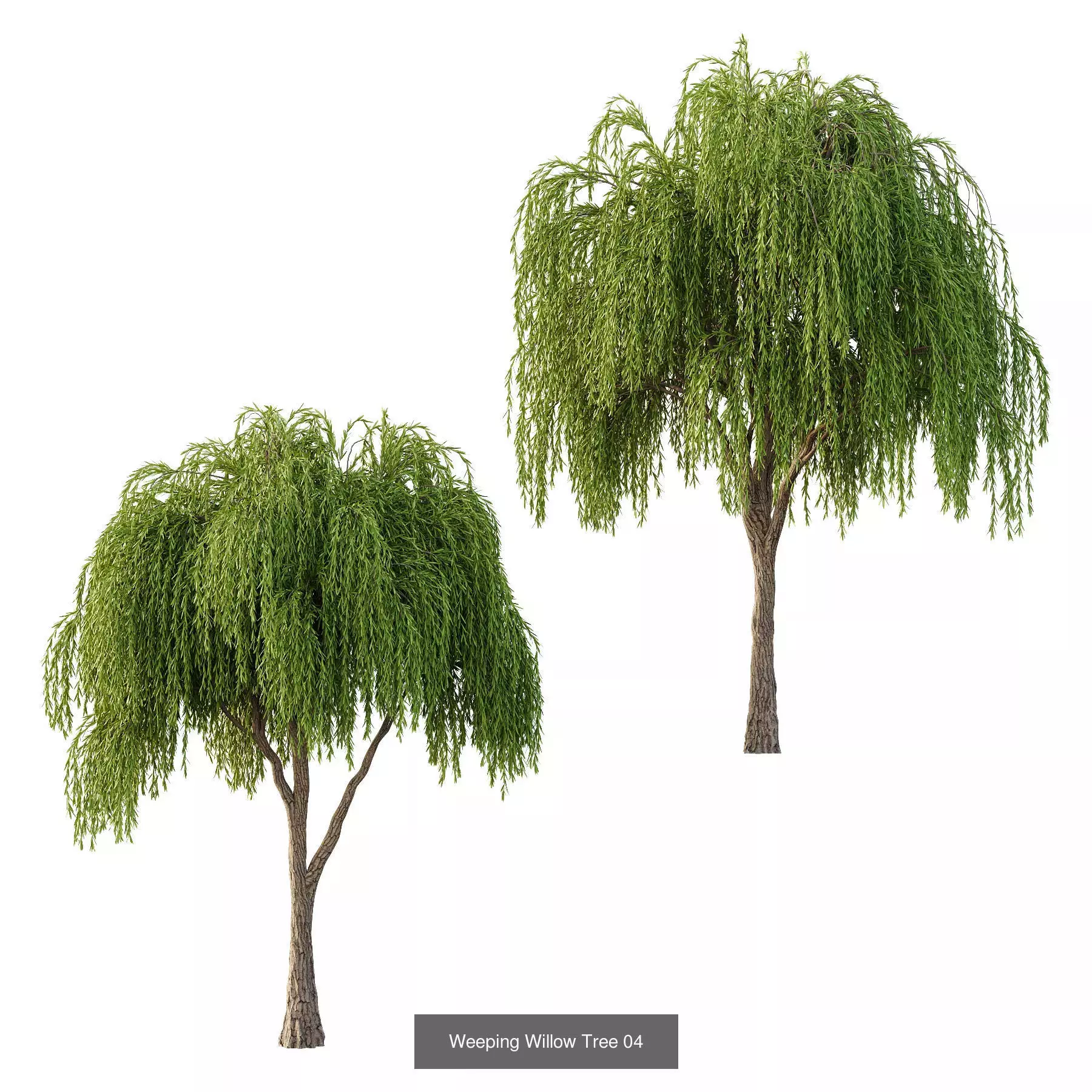 Excellent collection of Outdoor plants 16 Different Models 0027 _6