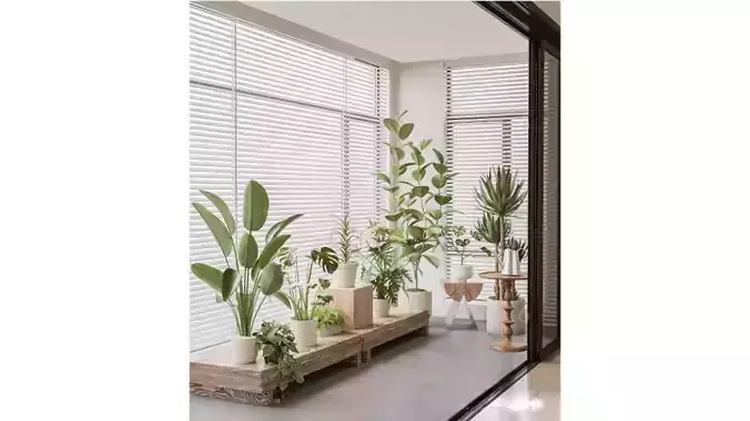 Indoor green plant landscape
