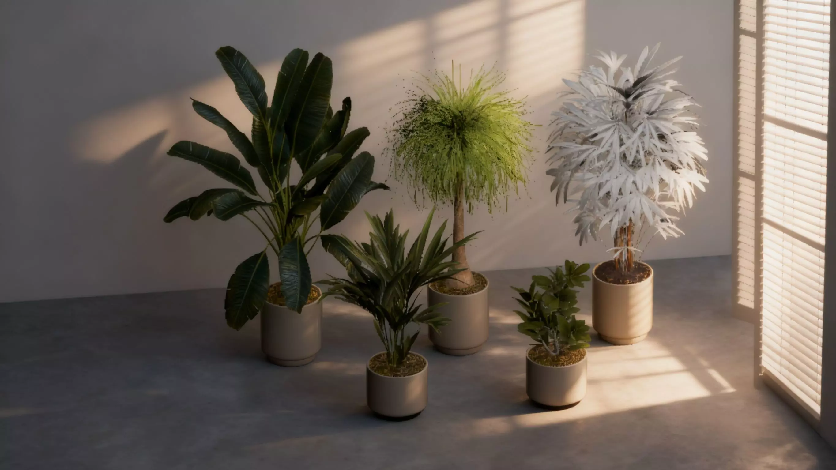 Indoor green plant landscape Low-poly 3D model_2