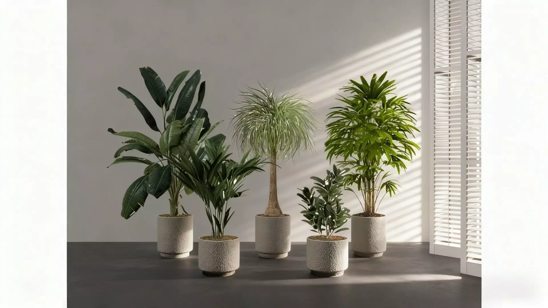 Indoor green plant landscape Low-poly 3D model_1