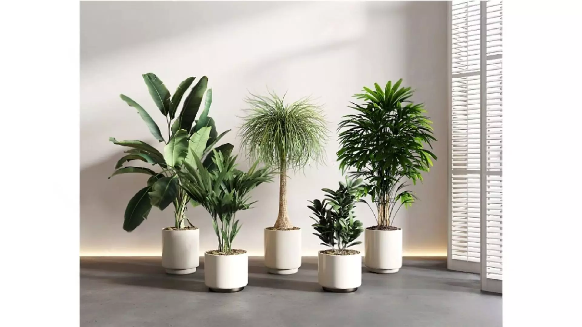Indoor green plant landscape Low-poly 3D model_0
