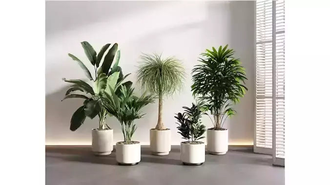 Indoor green plant landscape