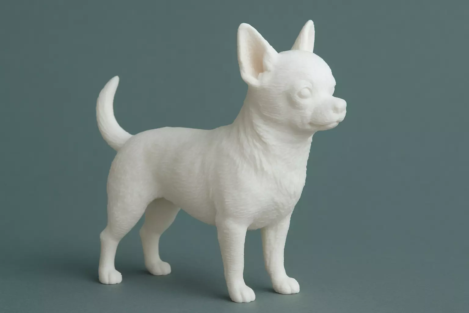 Chihuahua dog animal 3D print model