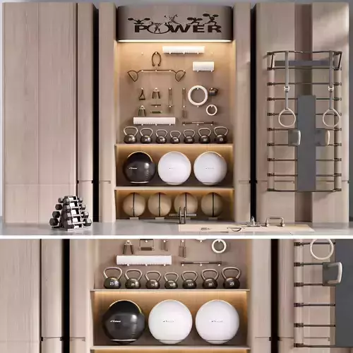 GYM RACK WITH SPORT EQUIPMENT NO2 A