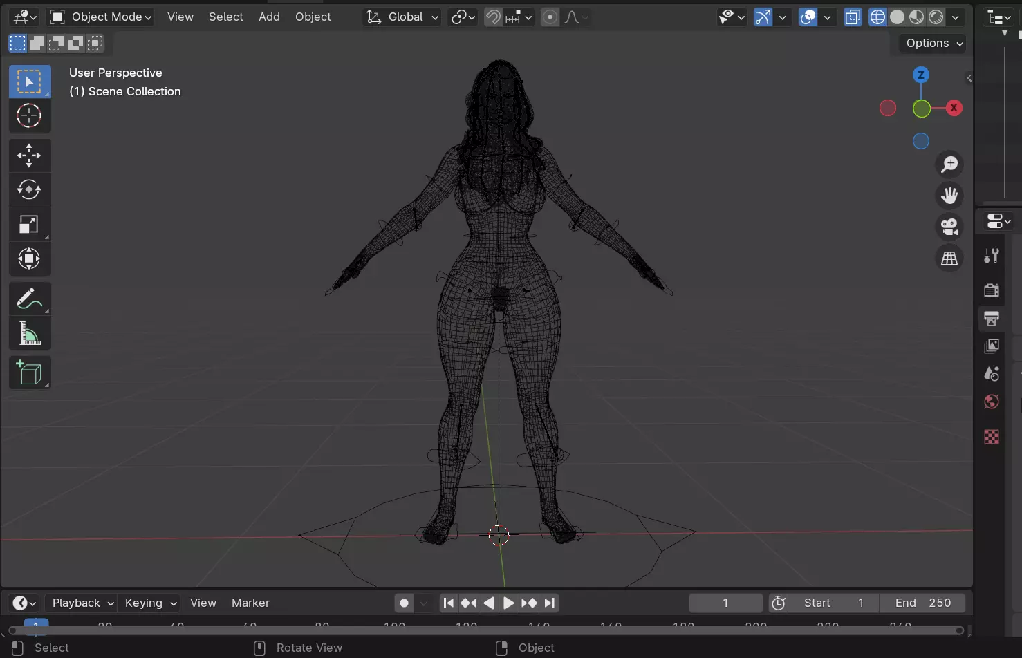 Black Cat Low-poly 3D model_12