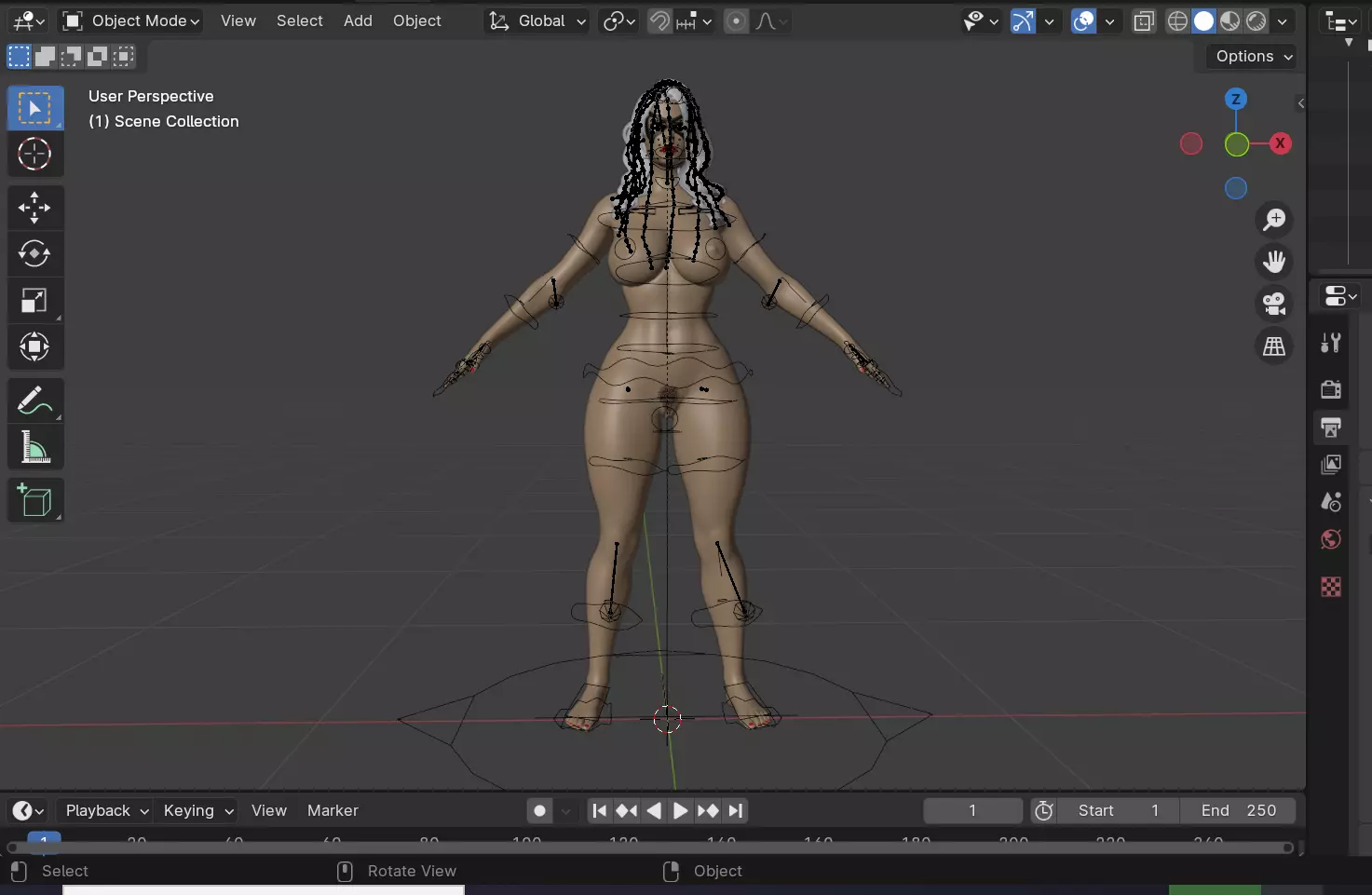 Black Cat Low-poly 3D model_11