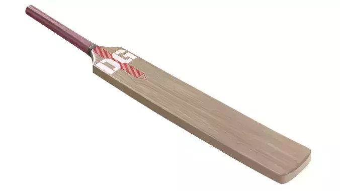 cricket bat 2