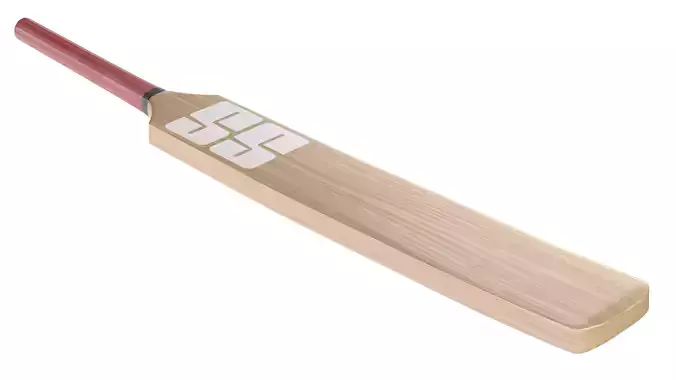 cricket bat
