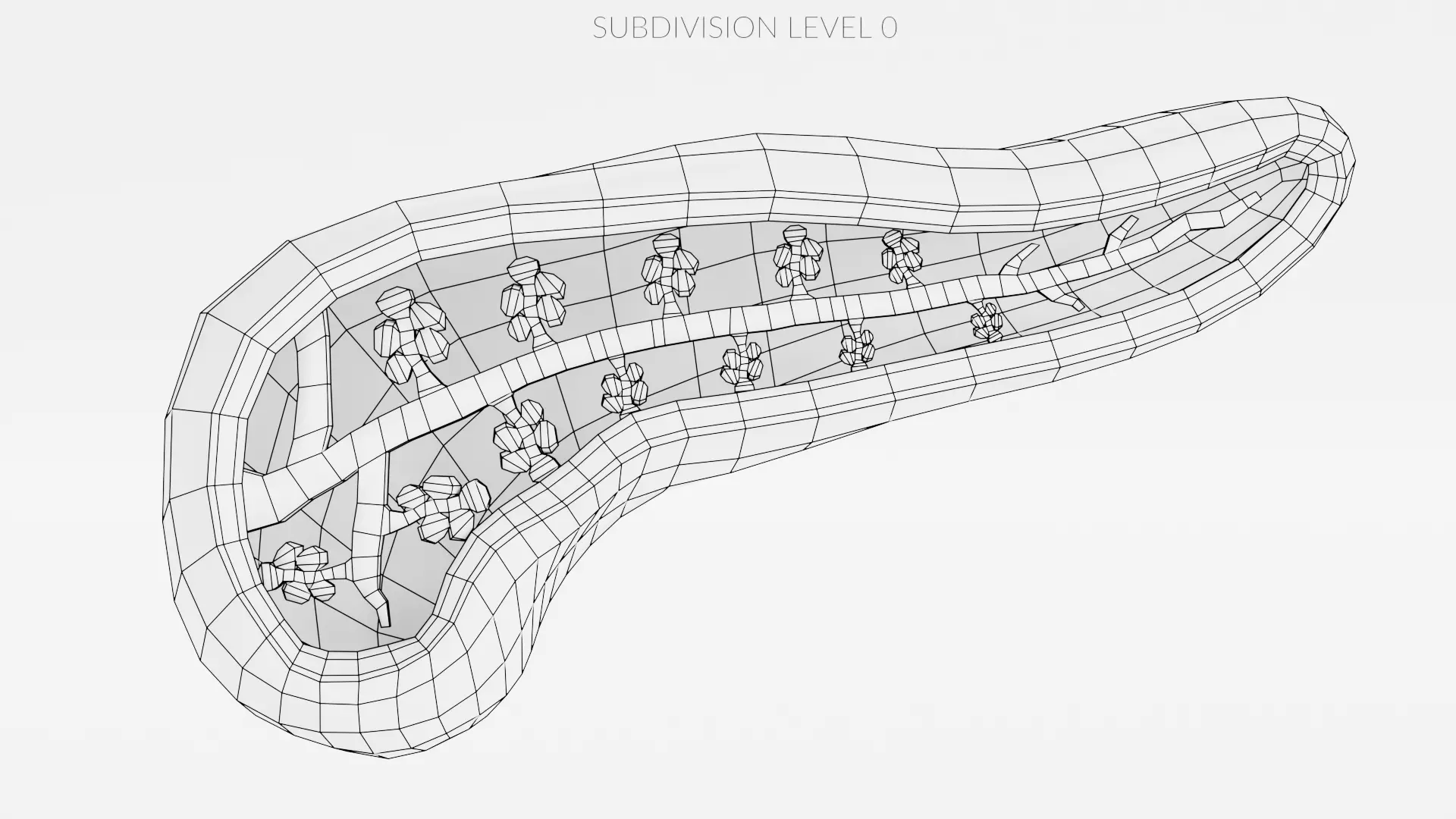 Pancreas Cross-Section - Realistic Human Anatomy 3D model_8