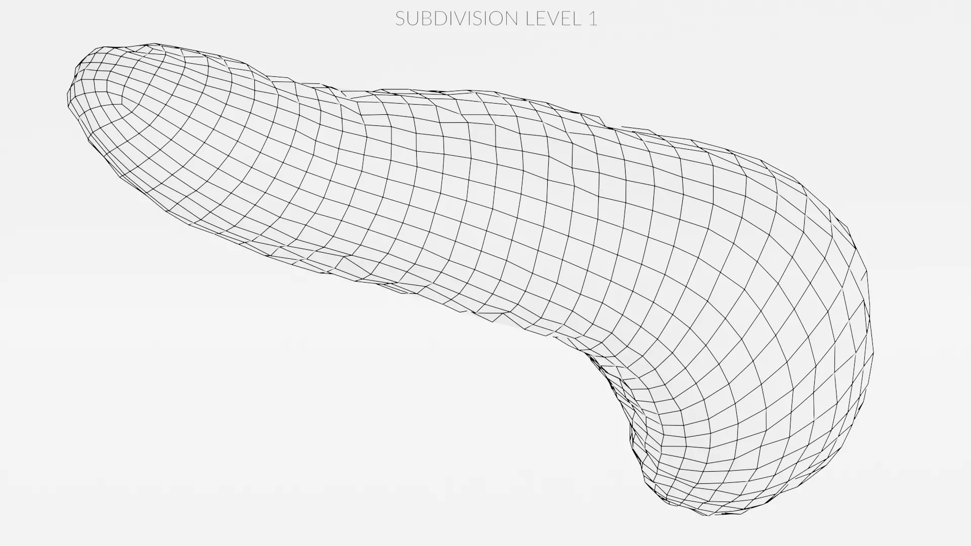 Pancreas Cross-Section - Realistic Human Anatomy 3D model_11