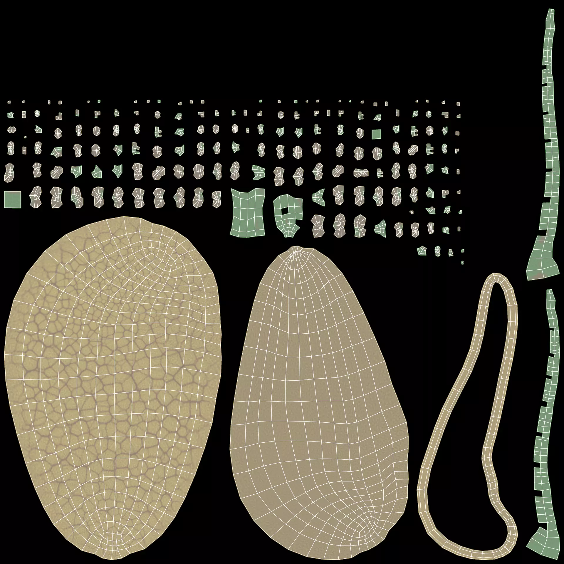 Pancreas Cross-Section - Realistic Human Anatomy 3D model_7