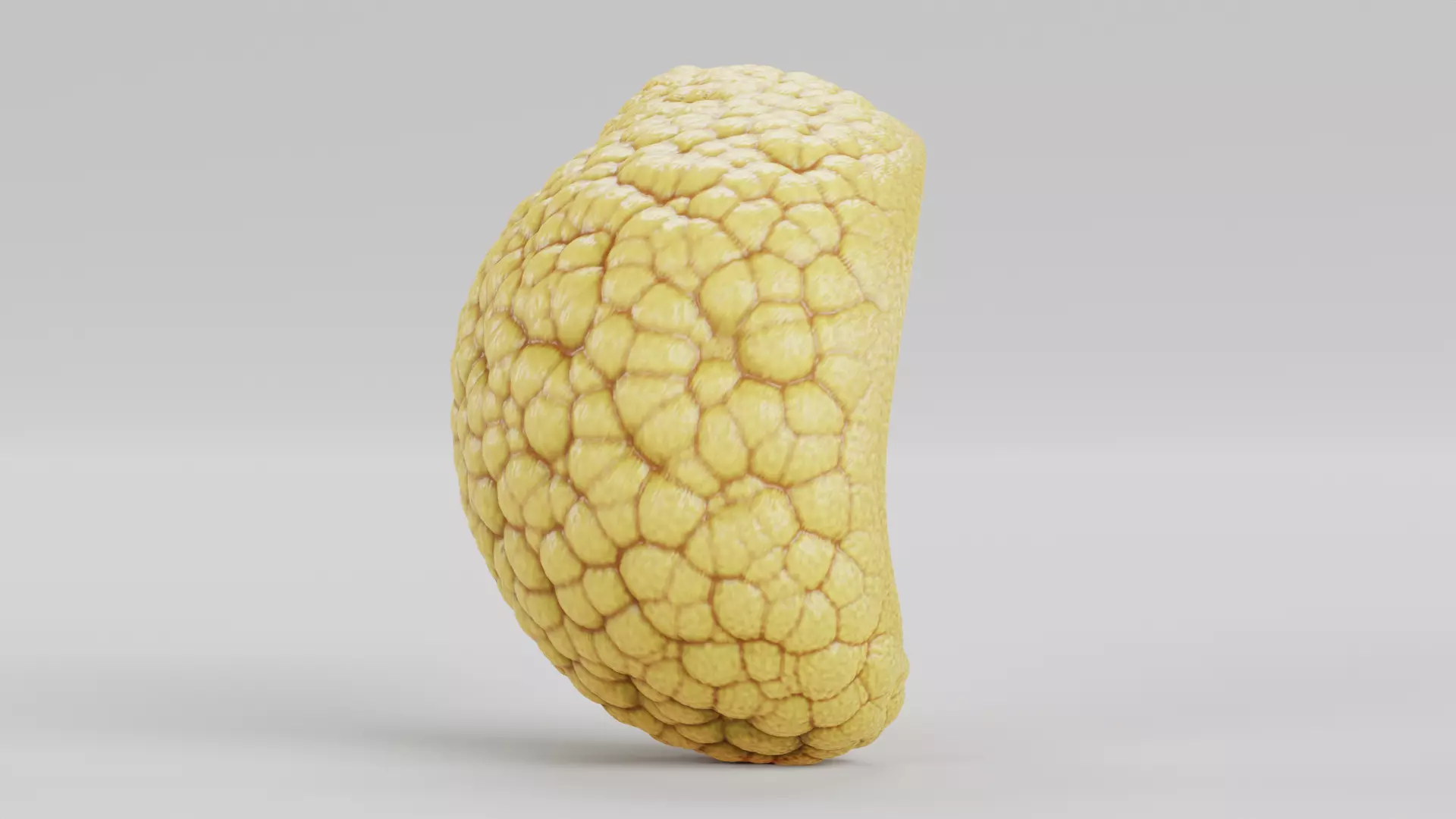 Pancreas Cross-Section - Realistic Human Anatomy 3D model_2