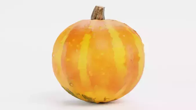 -Pumpkin V1-