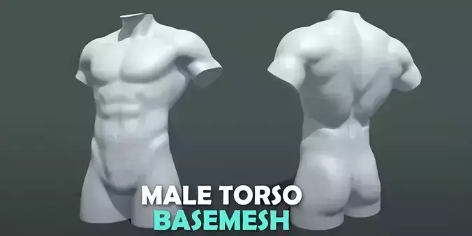 Torso Male Topology Uv Map