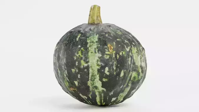 Pumpkin V2 - Realistic Dark Green Kabocha Squash 3D model 5