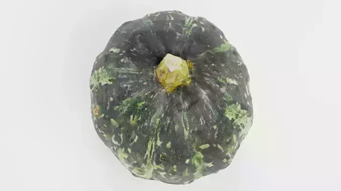 Pumpkin V2 - Realistic Dark Green Kabocha Squash 3D model 4