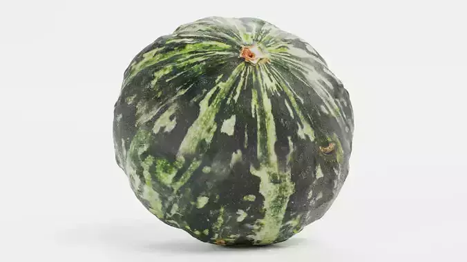 Pumpkin V2 - Realistic Dark Green Kabocha Squash 3D model 6
