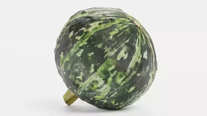 Pumpkin V2 - Realistic Dark Green Kabocha Squash 3D model 7