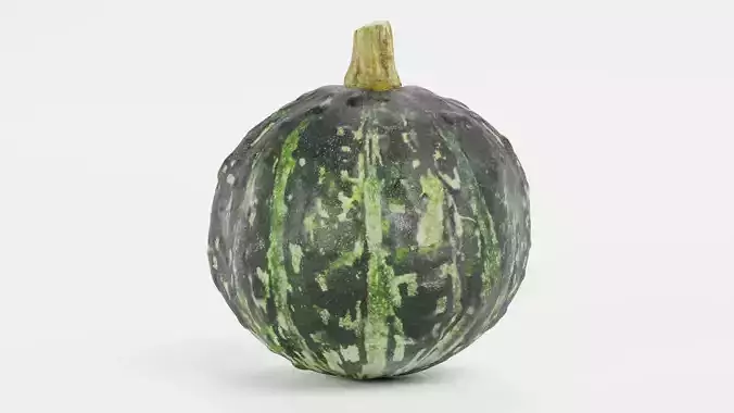 Pumpkin V2 - Realistic Dark Green Kabocha Squash 3D model