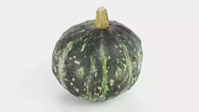 Pumpkin V2 - Realistic Dark Green Kabocha Squash 3D model 2
