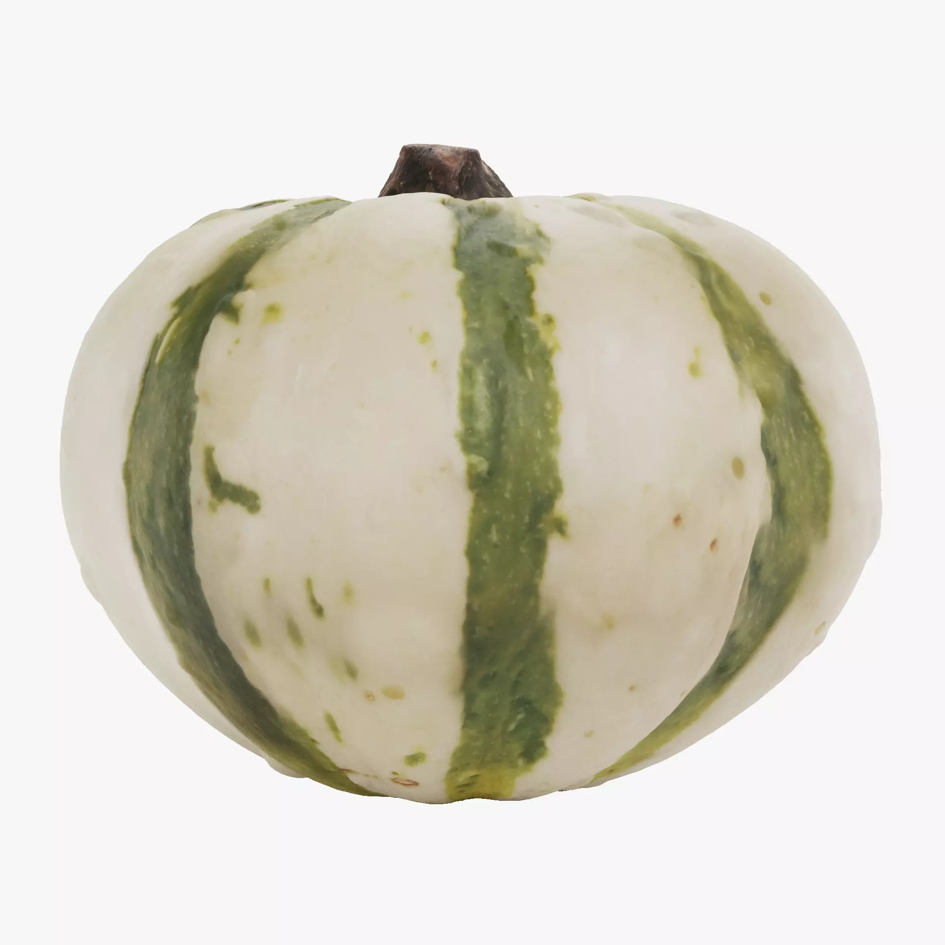 -Pumpkin V3- 3D model_12