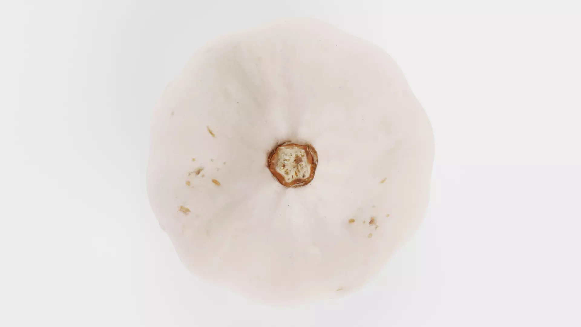 -Pumpkin V4- 3D model_4