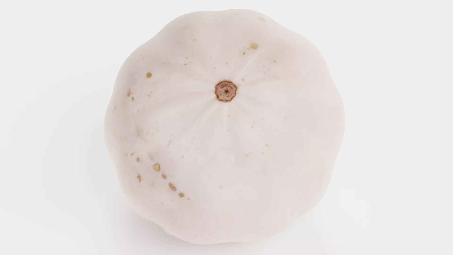 -Pumpkin V4- 3D model_6