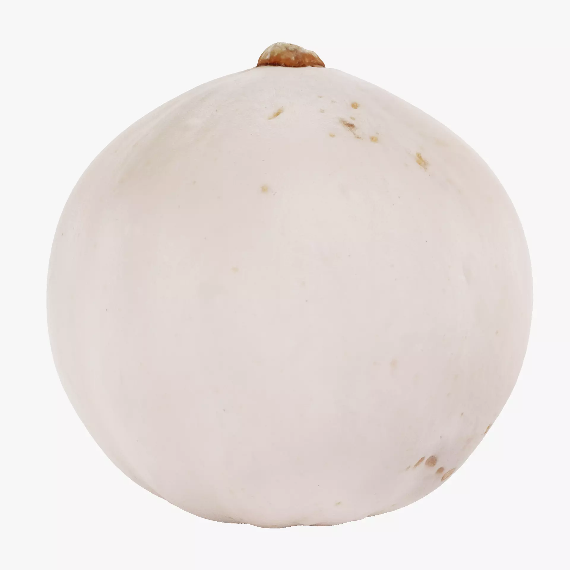 -Pumpkin V4- 3D model_12