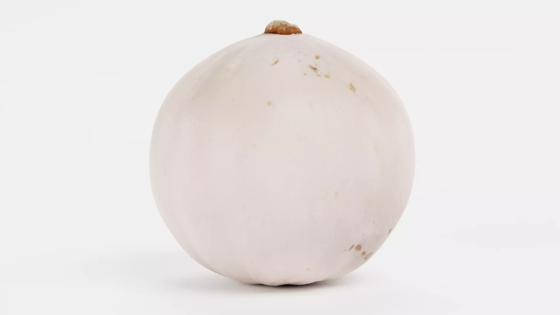 -Pumpkin V4- 3D model_0