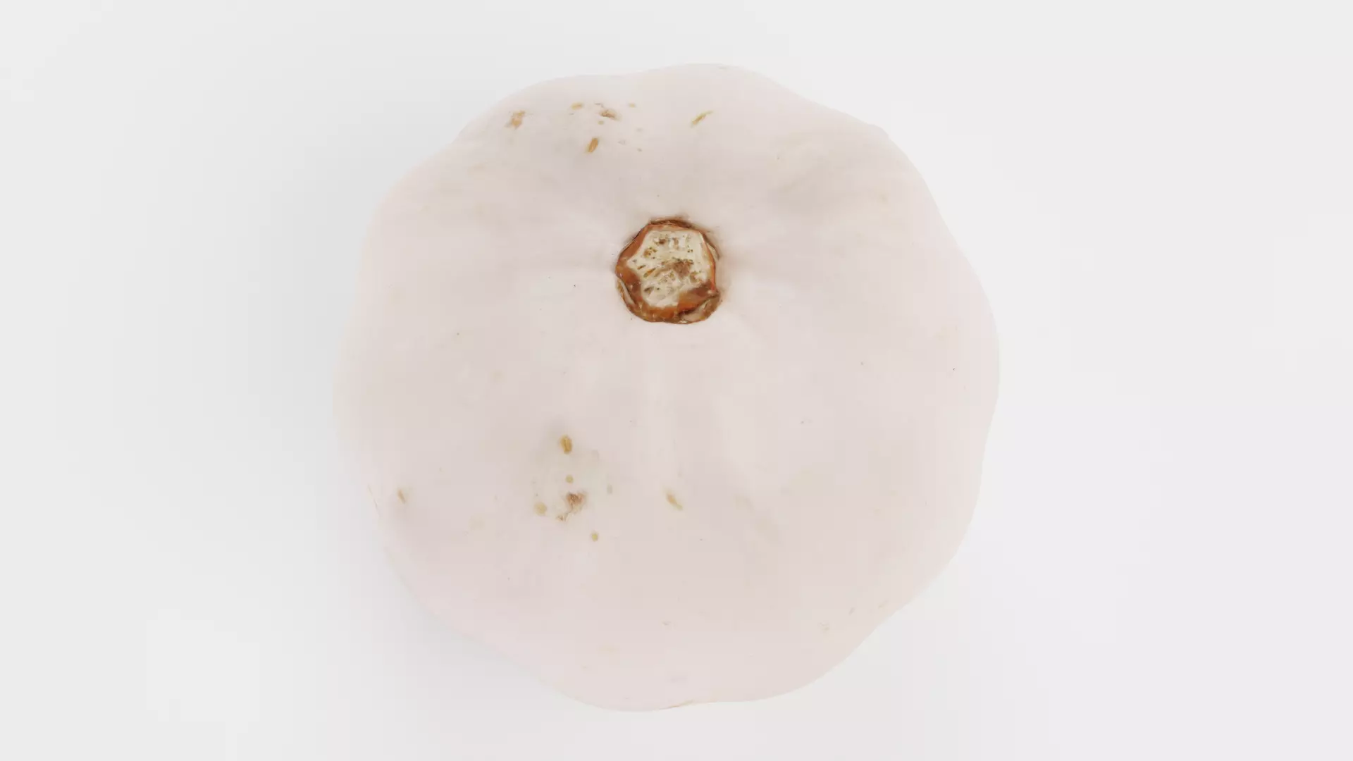 -Pumpkin V4- 3D model_3