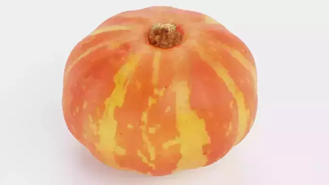 Pumpkin V5 - Realistic Orange Striped Hokkaido Squash 3D model 3