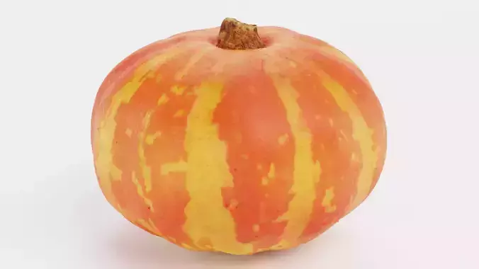 Pumpkin V5 - Realistic Orange Striped Hokkaido Squash 3D model 2